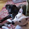 Jeff - Photo 3
