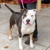 Beckham - Photo 4