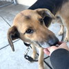 Hilo - Photo 5