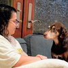 Bird Dog - Photo 3