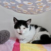 Elliot - Photo 2