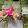 Praline - Photo 4