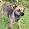 Mallory - Photo 5