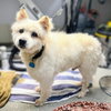 Toby - Photo 2