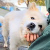 Toby - Photo 5