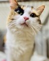 Sabrina - Photo 3