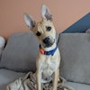 Buddy Love - Photo 2
