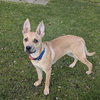 Buddy Love - Photo 3