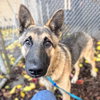 Carter - Photo 8