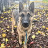Carter - Photo 7