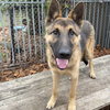 Carter - Photo 5