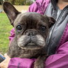 lucky - Photo 5