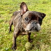 lucky - Photo 6