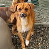 Dublin - Photo 6