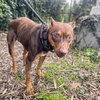 Winnie - Photo 6
