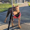 Winnie - Photo 2
