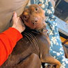Winnie - Photo 3
