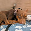 Winnie - Photo 4