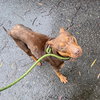 Winnie - Photo 5