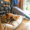 Evangeline - Photo 2