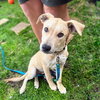 Brewster - Photo 1