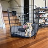 Brewster - Photo 5