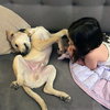Brewster - Photo 4