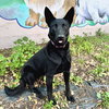 Dulce - Photo 2