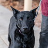 Dulce - Photo 4