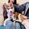 Echo - Photo 2