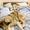Echo - Photo 4