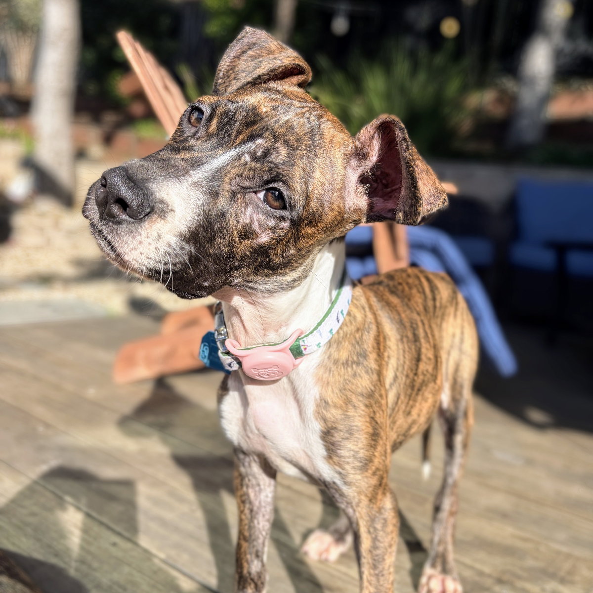 Mallory Image