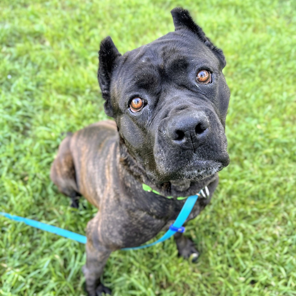 Zora Image