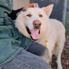 Polar Bear - Photo 5