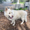 Polar Bear - Photo 7