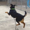 Kenji - Photo 2