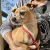 Margaret - Photo 4