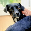 Nikky - Photo 3