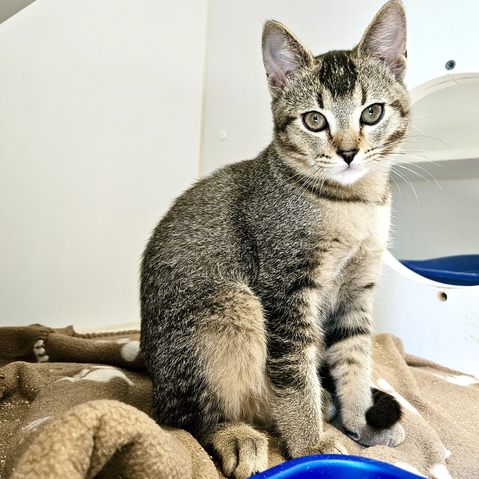 Stormy Bonded W Cloudy