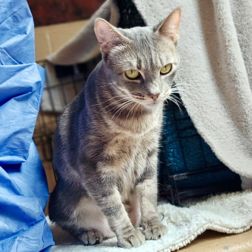 Jackie photo 3