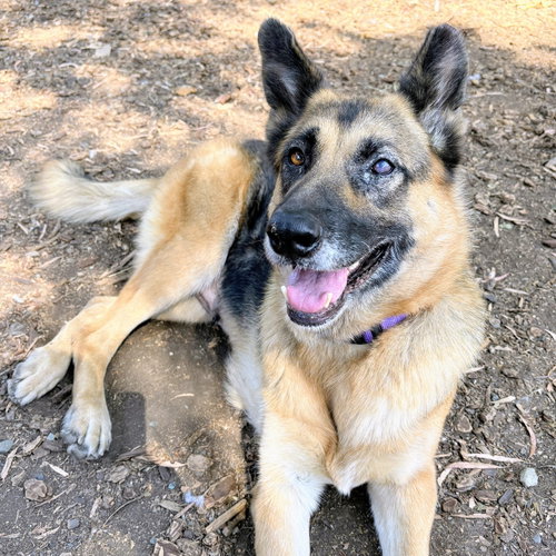Gwen photo 6