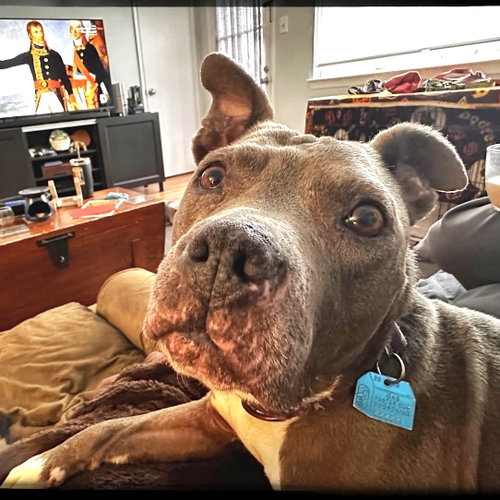 Millie, photo 2