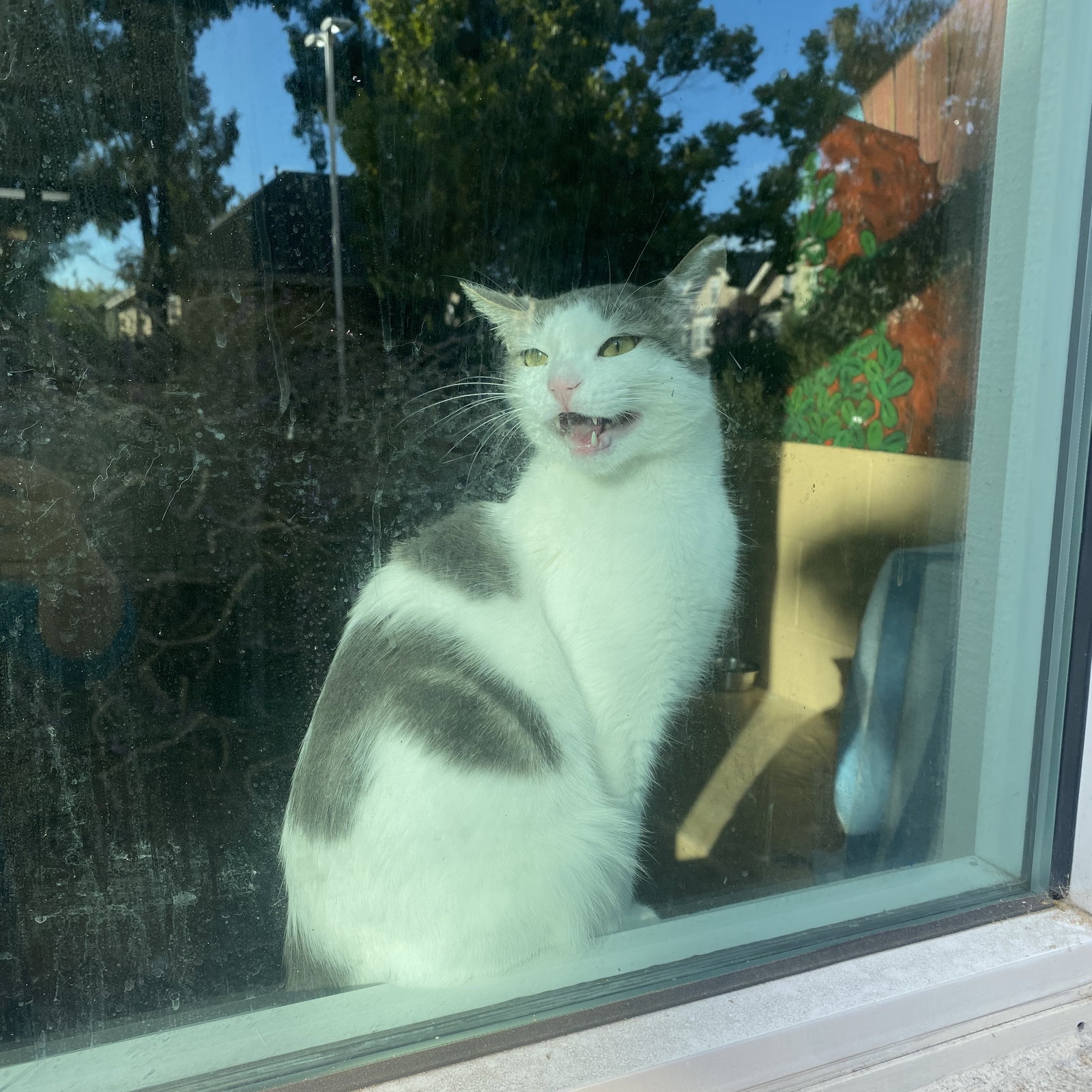 Pixel, photo 14