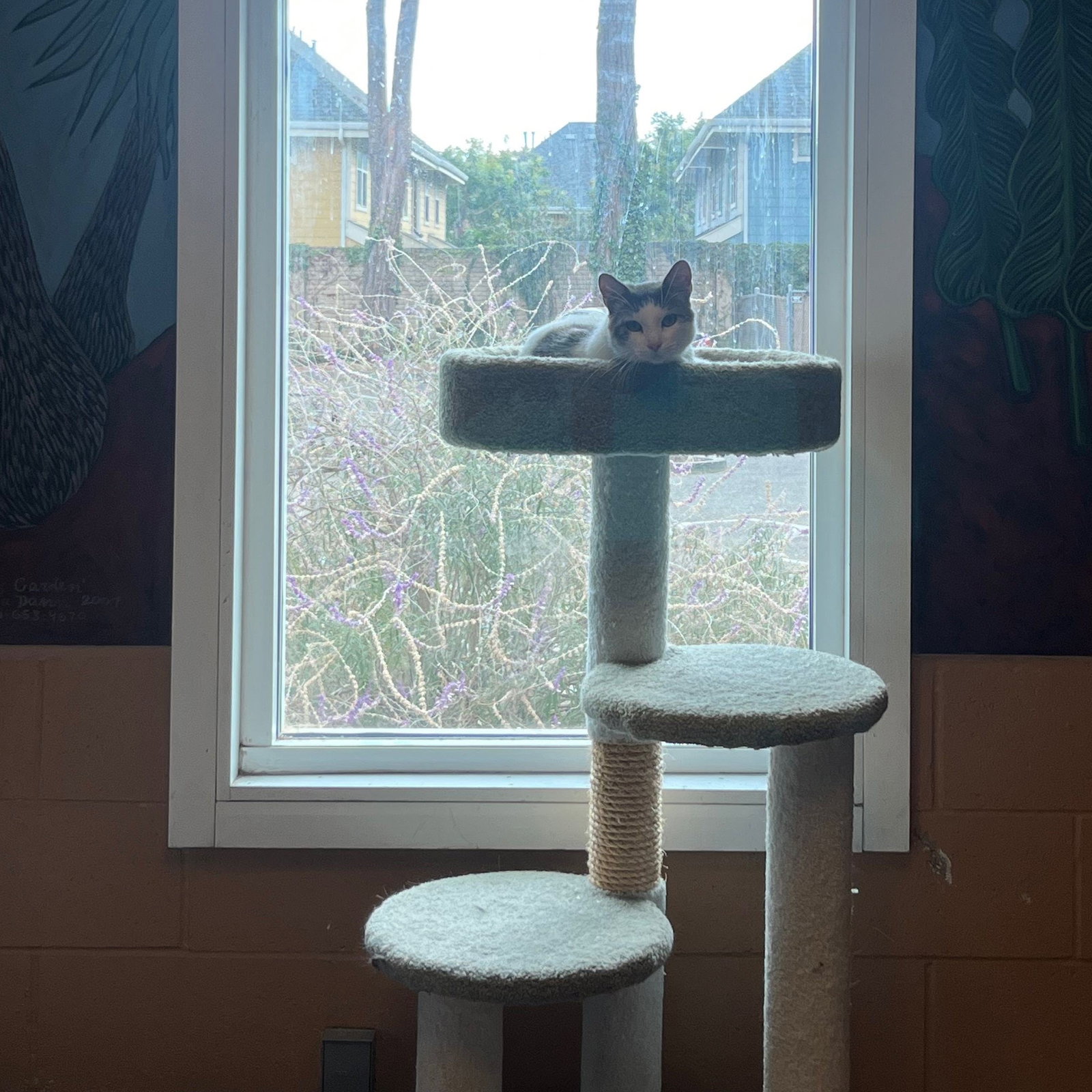 Pixel, photo 18
