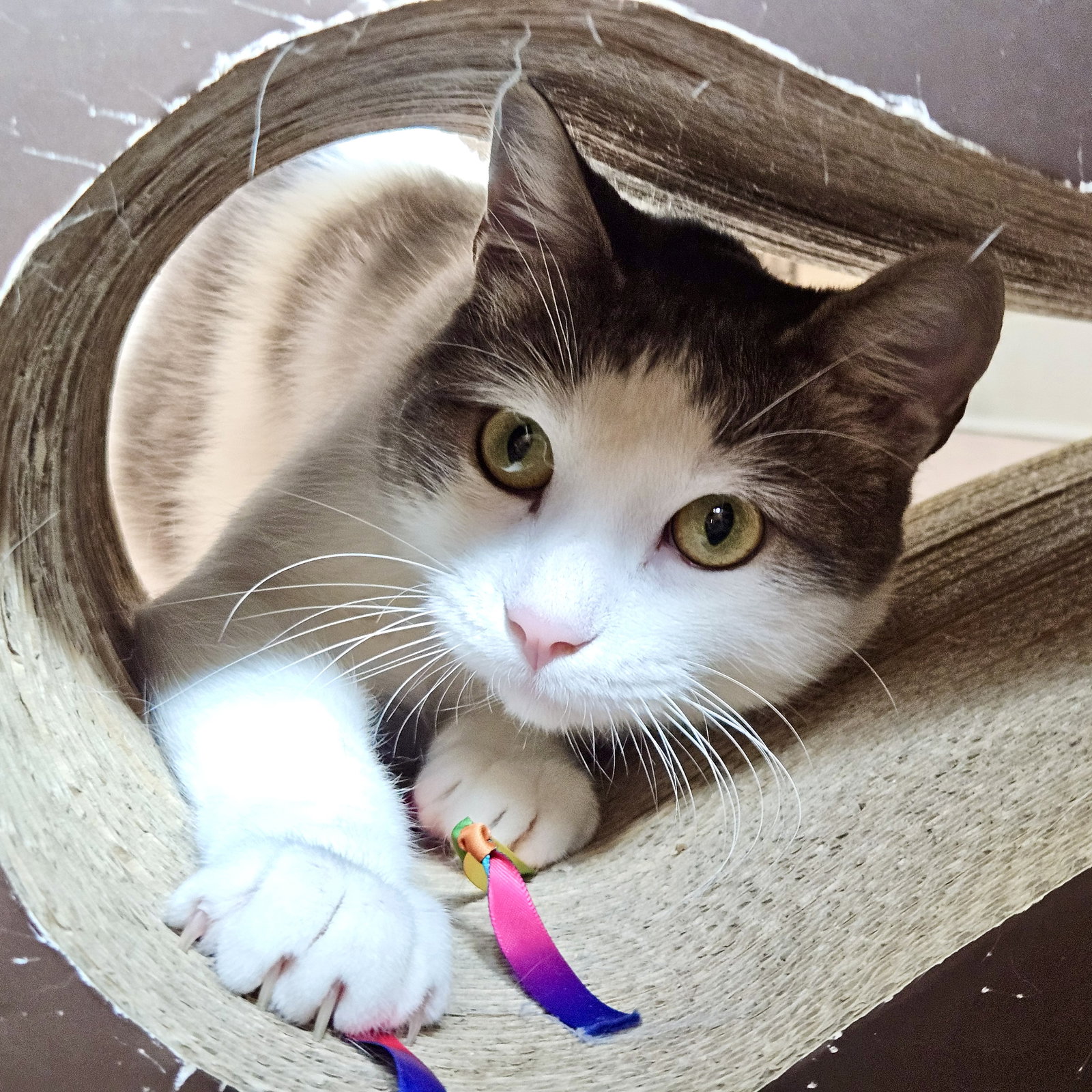 Pixel