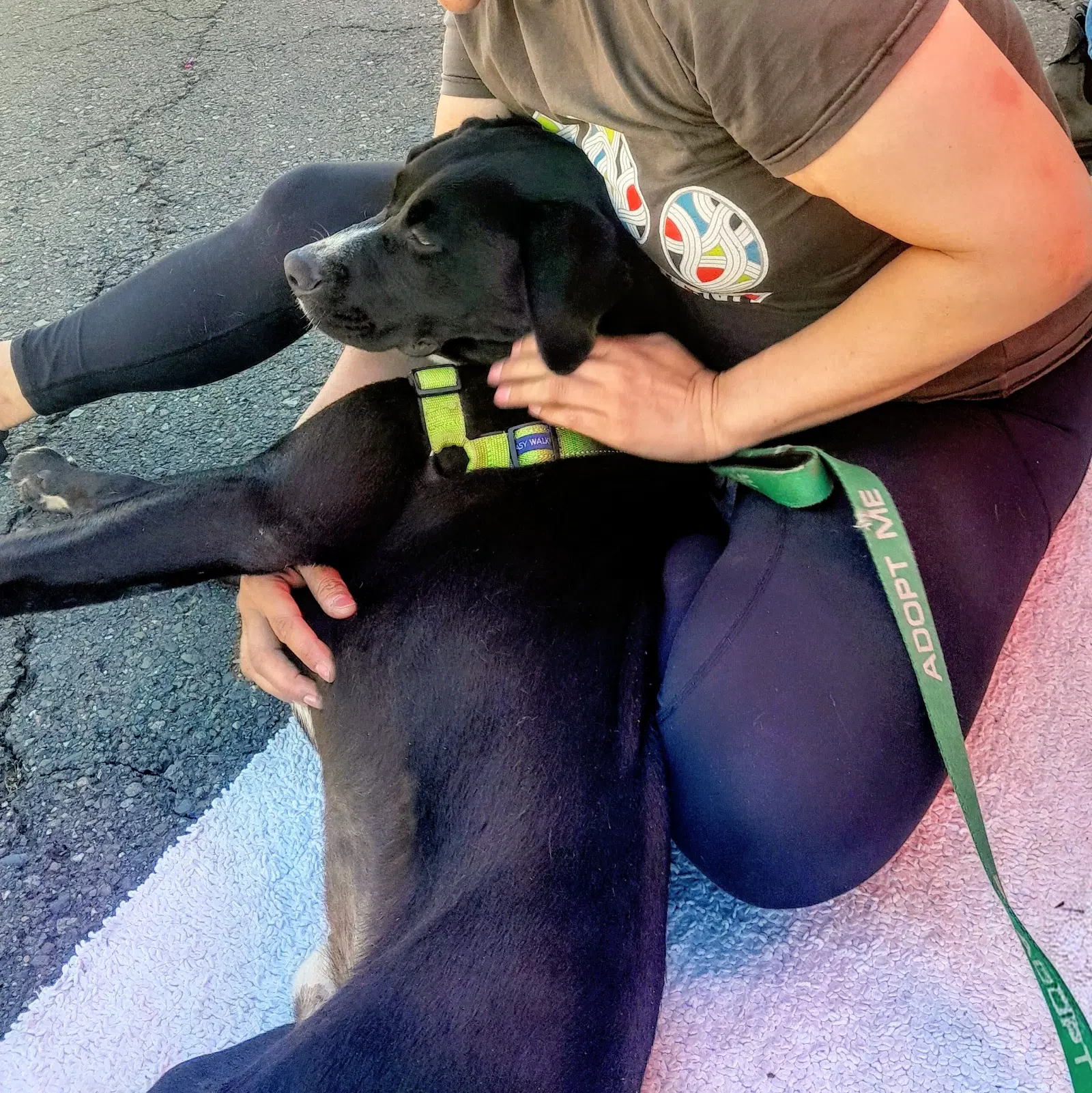 Raider image 3