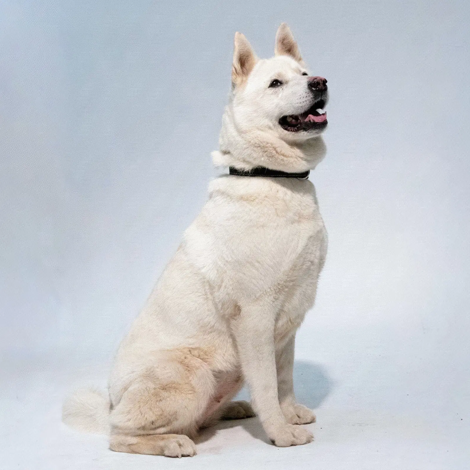 Trudy image 4