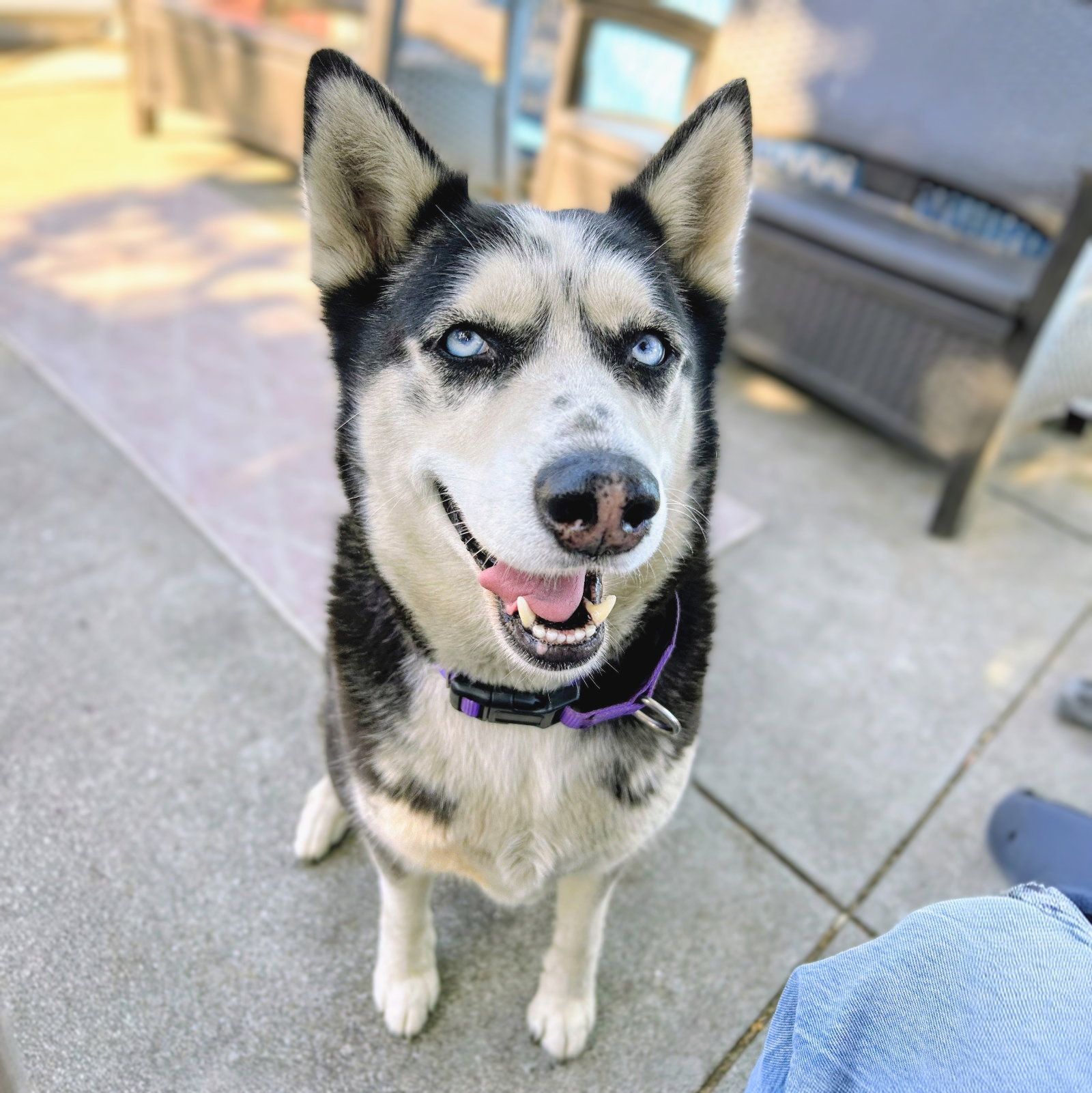 Tula Photo