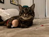 Marcie - Photo 2