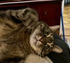 Marcie - Photo 2